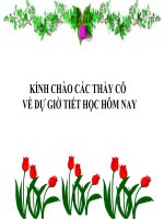 Cao Su