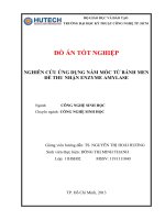 Nghiên cứu ứng dụng nấm mốc từ bánh men để thu nhận enzyme amylase 