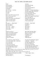 Mau cau tieng Anh thong dung