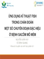 ỨNG DỤNG KĨ THUẬT FISH TRONG CHẨN ĐOÁN MỘT SỐ CHUYỂN ĐOẠN ĐẶC HIỆU Ở BỆNH SACÔM MÔ MỀM