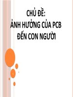 Bài thuyết trình  ảnh hưởng của PCB đến con người 