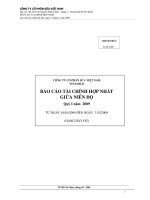 CÔNG TY CỔ PHẦN SỮA VIỆT NAM VINAMILK BÁO CÁO TÀI CHÍNH HỢP NHẤT GIỮA NIÊN ðỘ Quý I năm 2009