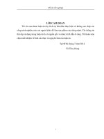 Khảo sát môi trường phát triển nấm mốc trichoderma konigii ứng dụng khả năng thủy phân tiêu đen tạo sản phẩm tiêu trắng 