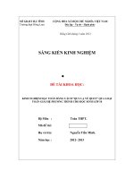 DE TAI KHOA HOC TOAN 10 nam 20122013