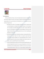 THU THUAT VIET ESSAY