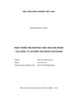 (Luận văn thạc sĩ) phát triển thị trường tiêu thụ sản phẩm của công ty cổ phần tập đoàn austdoor 