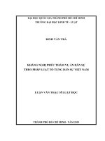 Kháng nghị phúc thẩm vụ án dân sự theo pháp luật tố tụng dân sự việt nam (luận văn thạc sỹ luật) 