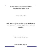 Pháp luật về bảo vệ quyền của người tiêu dùng trong lĩnh vực an toàn thực phẩm ở việt nam hiện nay (luận văn thạc sỹ luật)  
