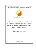 Nghiên cứu độc tính cấp, bán trường diễn và tác dụng tân tạo mạch máu não của bài thuốc thông mạch vintong  trên động vật thực nghiệm 