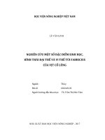 (Luận văn thạc sĩ) nghiên cứu một số đặc điểm sinh học, hình thái đại thể và vi thể túi fabricius của vịt cổ lũng 