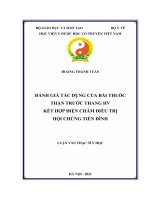 Luận văn Thạc sĩ Y học: Đánh giá tác dụng của bài thuốc Thận trước thang HV kết hợp điện châm điều trị Hội chứng tiền đình