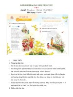 KẾ HOẠCH BÀI DẠY MÔN TIẾNG VIỆT CHƯƠNG TRÌNH MỚI ( Bài chào xuân, lớp 1, Chân trời sáng tạo)