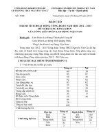 Bao cao thanh tich tap the cong doan