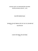 Áp dụng án lệ trong xét xử các vụ án dân sự tại tòa án (luận văn thạc sỹ luật) 