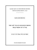 Thu giữ tài sản bảo đảm trong hoạt động xử lý nợ (luận văn thạc sỹ luật) 