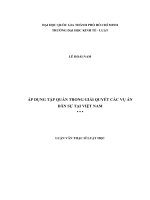 Áp dụng tập quán trong giải quyết các vụ án dân sự tại việt nam (luận văn thạc sỹ luật) 