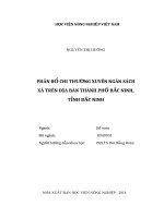 (Luận văn thạc sĩ) phân bố chi thường xuyên ngân sách xã trên địa bàn thành phố bắc ninh, tỉnh bắc ninh 