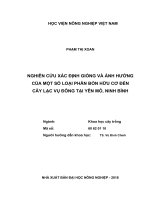 (Luận văn thạc sĩ) nghiên cứu xác định giống và ảnh hưởng của một số loại phân bón hữu cơ đến cây lạc vụ đông tại yên mô, ninh bình 