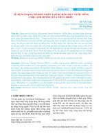 Sử dụng mạng nơ ron nhân tạo dự báo mực nước sông chịu ảnh hưởng của thủy triều