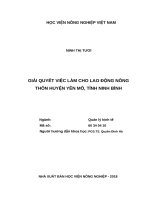(Luận văn thạc sĩ) giải quyết việc làm cho lao động nông thôn huyện yên mô, tỉnh ninh bình 