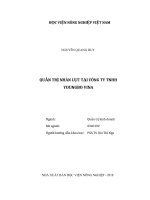 (Luận văn thạc sĩ) quản trị nhân lực tại công ty TNHH youngbo vina 