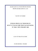 Áp dụng pháp luật trong thi hành án để xử lý tài sản thế chấp tại ngân hàng từ thực tiễn tỉnh bến tre (luận văn thạc sỹ luật) 