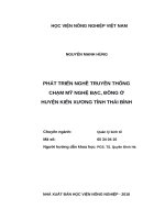 (Luận văn thạc sĩ) phát triển nghề truyền thống chạm mỹ nghệ bạc, đồng ở huyện kiến xương tỉnh thái bình 