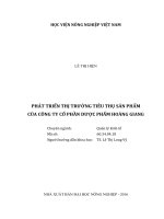 (Luận văn thạc sĩ) phát triển thị trường tiêu thụ sản phẩm của công ty cổ phần dược phẩm hoàng giang 