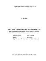 (Luận văn thạc sĩ) phát triển thị trường tiêu thụ sản phẩm của công ty cổ phần dược phẩm hoàng giang 