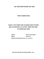(Luận văn thạc sĩ) quản lý huy động vốn tại ngân hàng thương mại cổ phần đầu tư và phát triển việt nam chi nhánh bắc ninh 