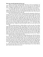 Ta Khu vuon vao buoi sang dep troi