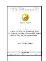 Luận văn Thạc sĩ Y học: Đánh giá tác dụng của viên khớp Vintong kết hợp phương pháp tiêm Knee-Collagen nội khớp điều trị thoái hóa khớp gối nguyên phát