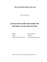 Giải pháp phát triển công nghiệp chế biến nông, lâm sản tỉnh hòa bình 