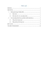 Phân tích và cho ví dụ minh họa về các loại pháp nhân theo quy định của bộ luật dân sự 