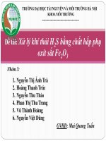 Đề tài  xử lý khí thải h2s bằng chất hấp phụ oxit sắt fe2o3 