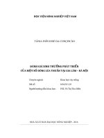 Đánh giá sinh trưởng phát triển của một số dòng lúa thuần tại gia lâm   hà nội 