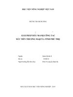 Giải pháp đẩy mạnh công tác xúc tiến thương mại của tỉnh phú thọ 
