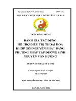 Luận văn Thạc sĩ Y học: Đánh giá tác dụng hỗ trợ điều trị thoái hóa khớp gối nguyên phát bằng phương pháp tập dưỡng sinh Nguyễn Văn Hưởng