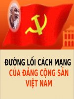 Bài giảng điện tử Lịch sử Đảng Cộng sản Việt Nam  CHƯƠNG 2