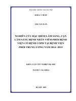 Khóa luận tốt nghiệp ngành Y đa khoa: Nghiên cứu đặc điểm lâm sàng, cận lâm sàng bệnh nhân Viêm phổi bệnh viện có bệnh COPD