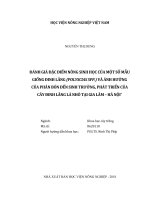 Đánh giá đặc điểm nông sinh học của một số mẫu giống đinh lăng (polyscias SPP ) và ảnh hưởng của phân bón đến sinh trưởng, phát triển của cây đinh lăng lá nhỏ tại gia lâm   hà nội 