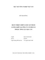 (Luận văn thạc sĩ) hoàn thiện chiến lược sản phẩm lương khô tại công ty cổ phần 22 thuộc tổng cục hậu cần 