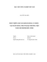 Phát triển cho vay khách hàng cá nhân tại ngân hàng TMCP ngoại thương việt nam chi nhánh bắc ninh 