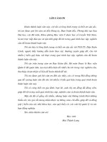 Luận văn Thạc sĩ Y học: Nghiên cứu tác dụng điều trị nhồi máu não của bài thuốc “Thông mạch Vintong” trên động vật thực nghiệm