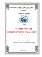 Tài liệu học tập Hệ thống thông tin quản lý