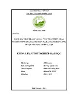 Khoá luận đánh giá thực trạng và giải pháp phát triển chăn nuôi bò mông của các hộ trên địa bàn xã nghiên loan, huyện pác nặm, tỉnh bắc kạn 