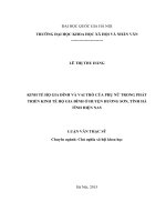 Kinh tế hộ gia đình và vai trò của phụ nữ trong phát triển kinh tế hộ gia đình ở huyện hương sơn tỉnh hà tĩnh 