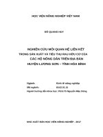 Nghiên cứu mối quan hệ liên kết trong sản xuất và tiêu thụ rau hữu cơ của các hộ nông dân trên địa bàn huyện lương sơn tỉnh hòa bình 