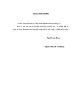Phân tích hiệu quả hoạt động tại công ty cổ phần thương mại du lịch đầu tư cù lao chàm 
