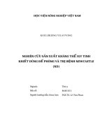 Nghiên cứu sản xuất kháng thể IGY tinh khiết dùng để phòng và trị bệnh newcastle (ND) 